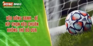 Kèo Đồng Banh – Bí Kíp Chọn Kèo Chuẩn Không Thể Bỏ Qua