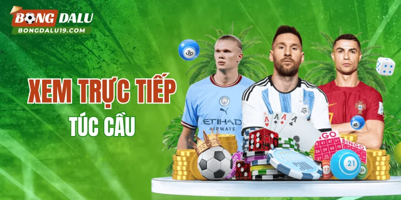 Xem trực tiếp túc cầu cùng với highlight